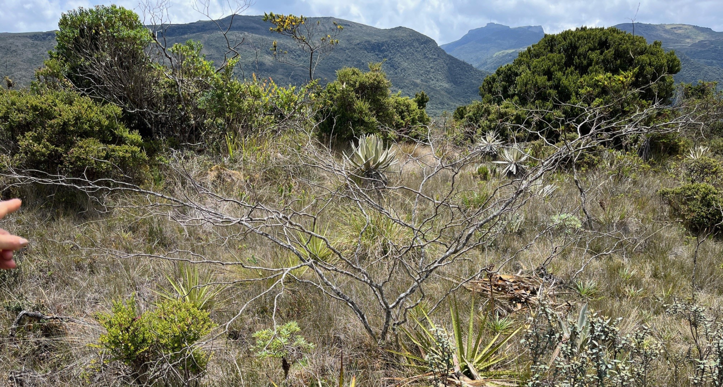 Biodiversity Colombia